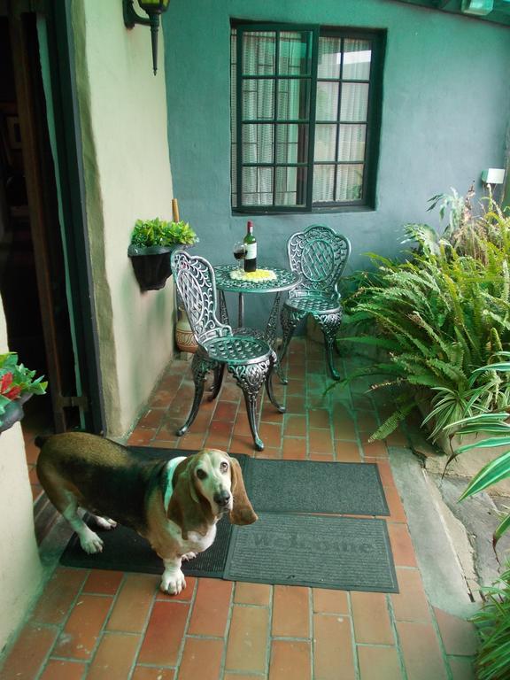 Villa Ocean Crest B&B Gansbaai Exterior foto