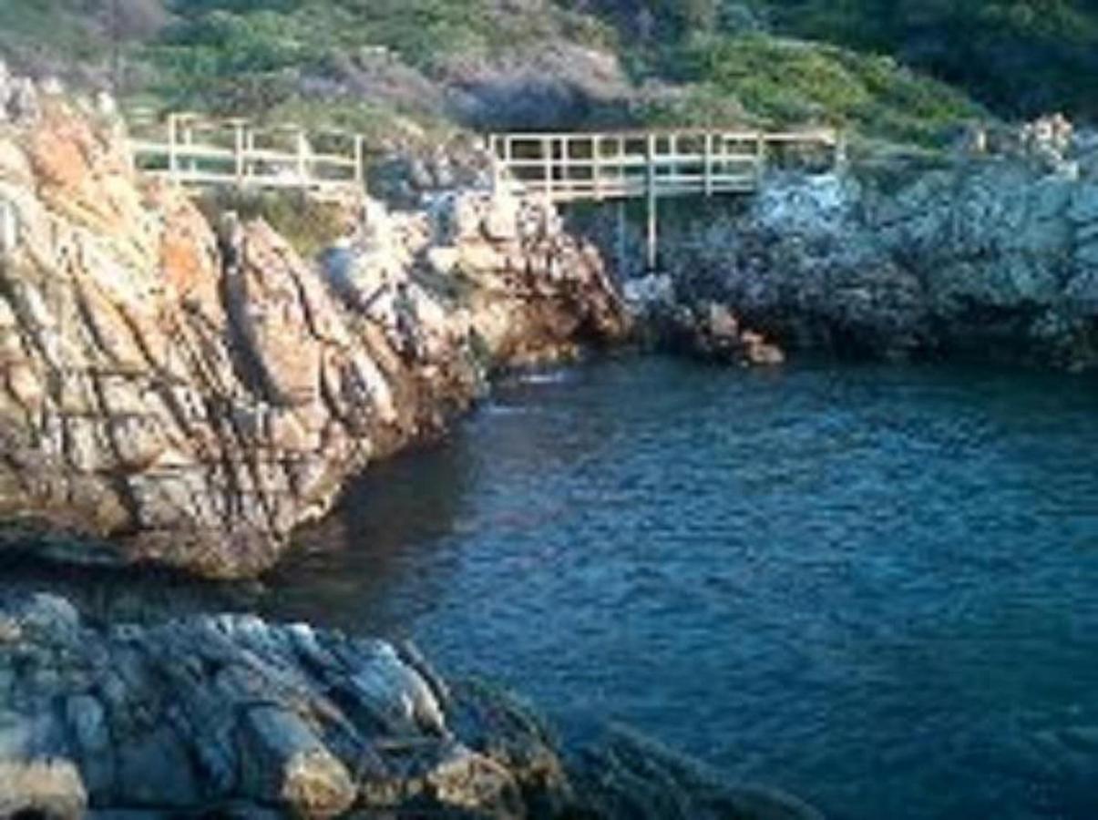 Villa Ocean Crest B&B Gansbaai Exterior foto